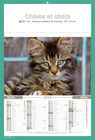 Calendriers-personnalises-chats_1