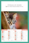 Calendriers-personnalises-chats_5