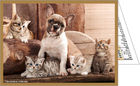 Calendriers-personnalises-poches-animaux_4